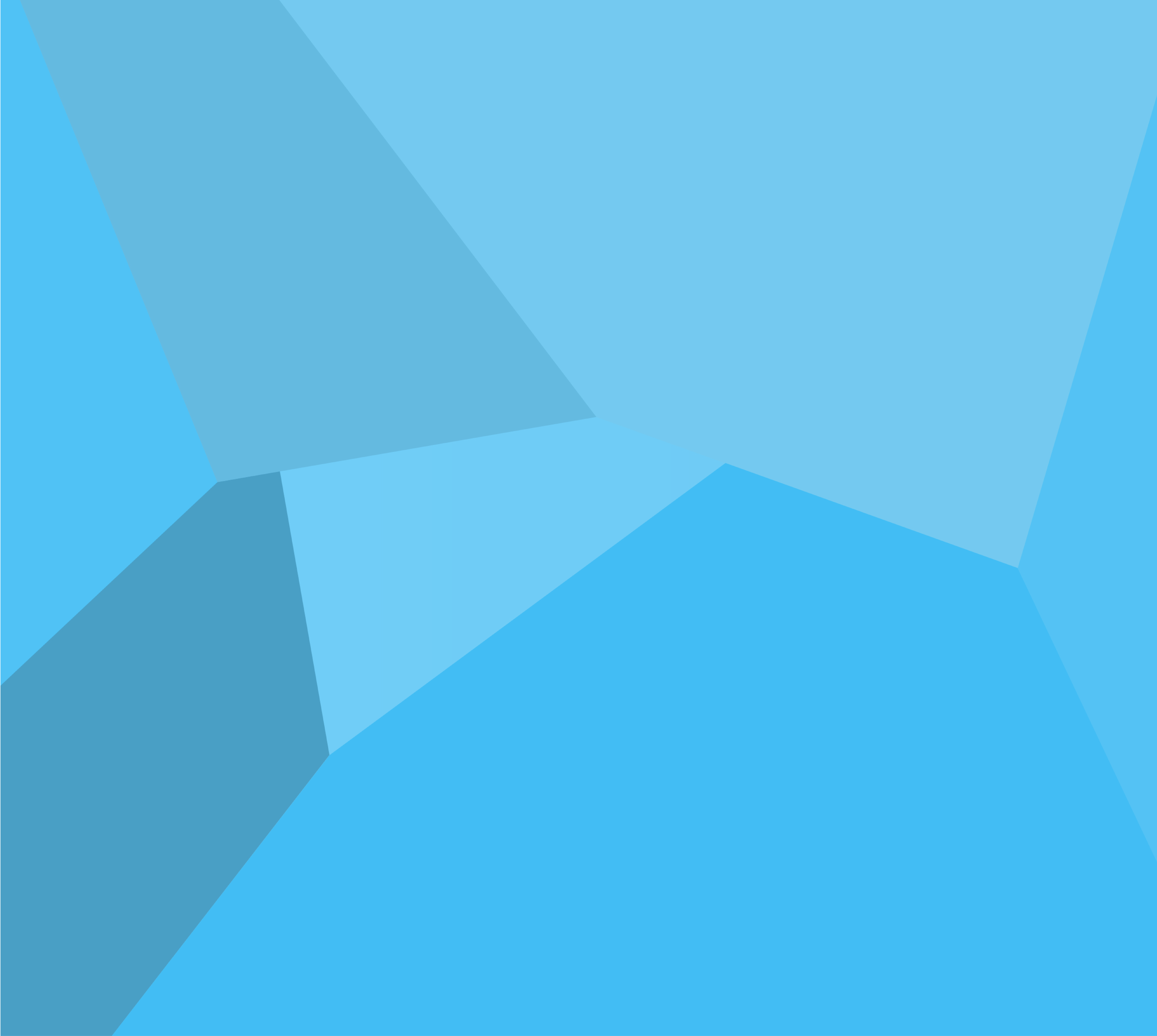 in front of the Brandenburger Tor in Berlin